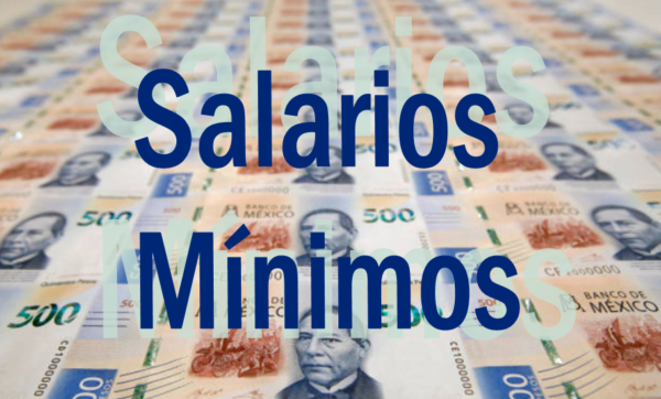 Salarios Mínimos Contaduría Ccii